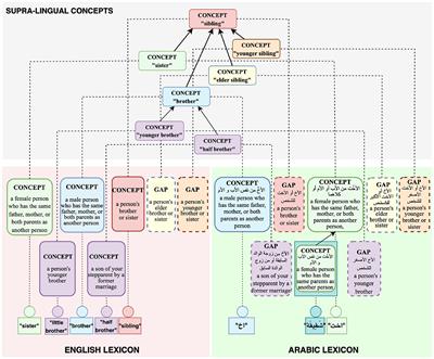 Lexical diversity in kinship across languages and dialects